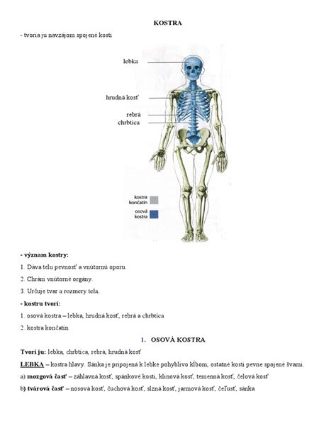 ilustrácia z historického hermetického rukopisu zobrazujúca prepojenie človeka s vesmírnymi energiami