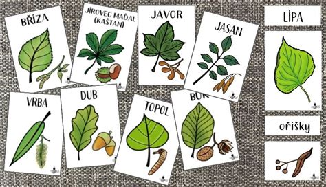 ukážka rôznych druhov achátov a ich farebných variácií