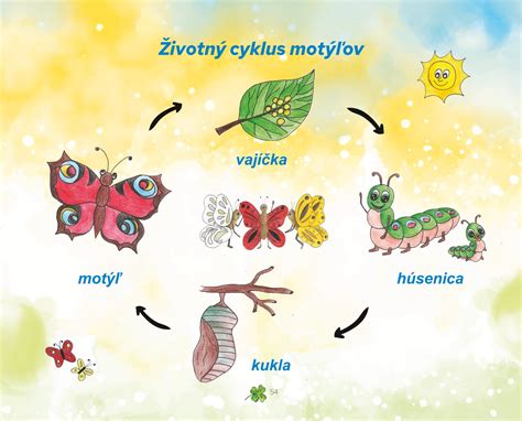 Cyklus premeny motýľa