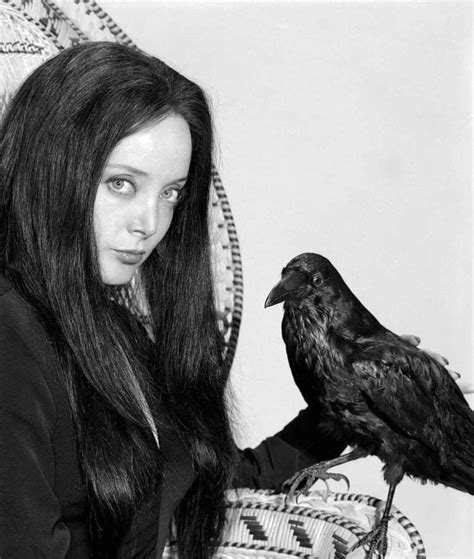 Umelecké zobrazenie rovnováhy v živote Váh