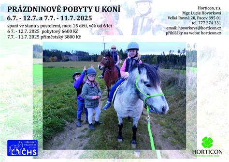 Facilitátor pracujúci s koňmi v rámci workshopu