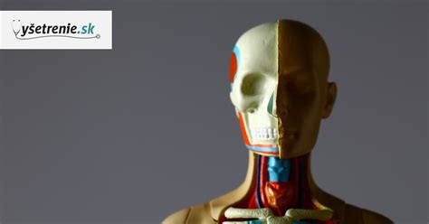 koncept energetických dráh (meridiánov) v ľudskom tele