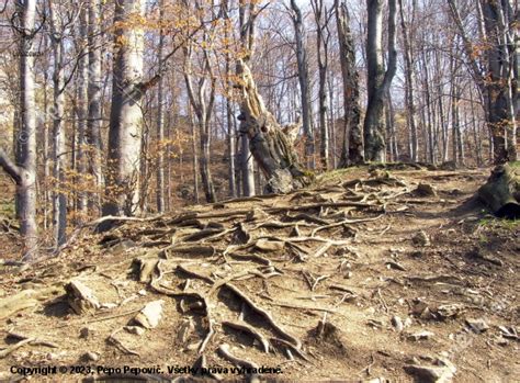 Historické korene ezoteriky