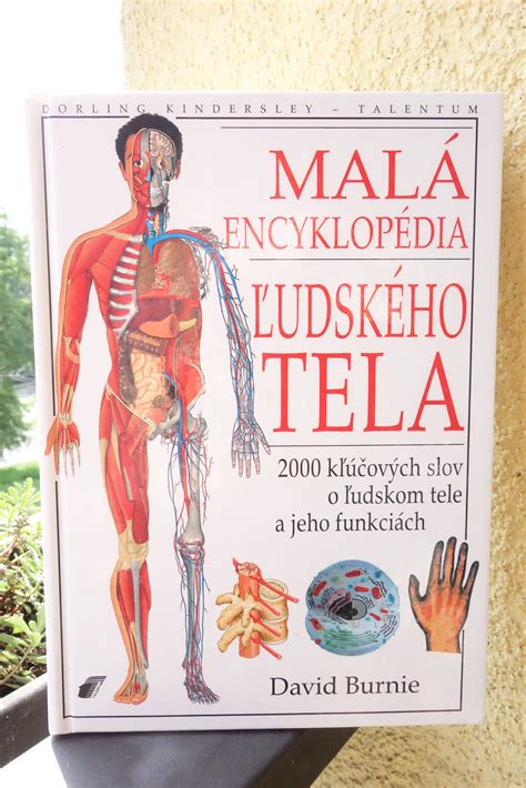 Ilustrácia meditácie a vyžarovania energie z ľudského tela