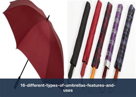 Table comparing costs and minimum orders for different umbrella types