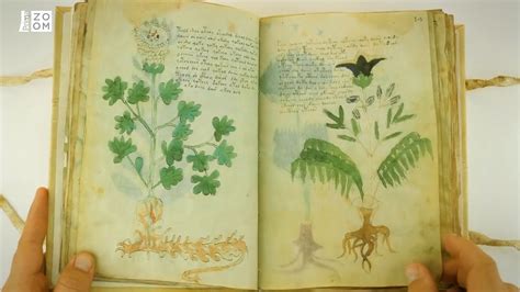 Záhadný prastarý rukopis v peruánskej džungli symbolizujúci objavovanie zabudnutého duchovného poznania