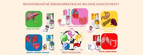 Štruktúra bioinformačných prípravkov