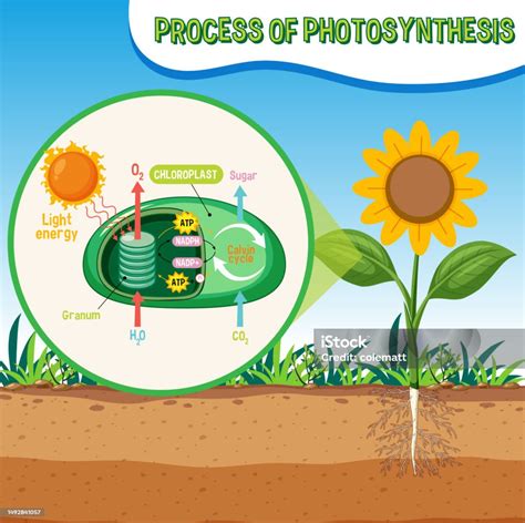 schéma transformačných procesov medzi Saturnom a Plutom