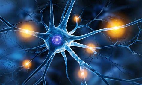 Zrkadlové neuróny