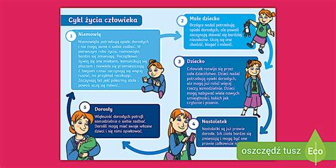 Infografika mesačného cyklu a domácich prác