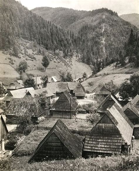 Starobylý slovanský háj s posvätnými stromami