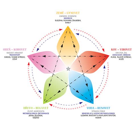 Detailná schéma Pentagramu vzťahov piatich prvkov