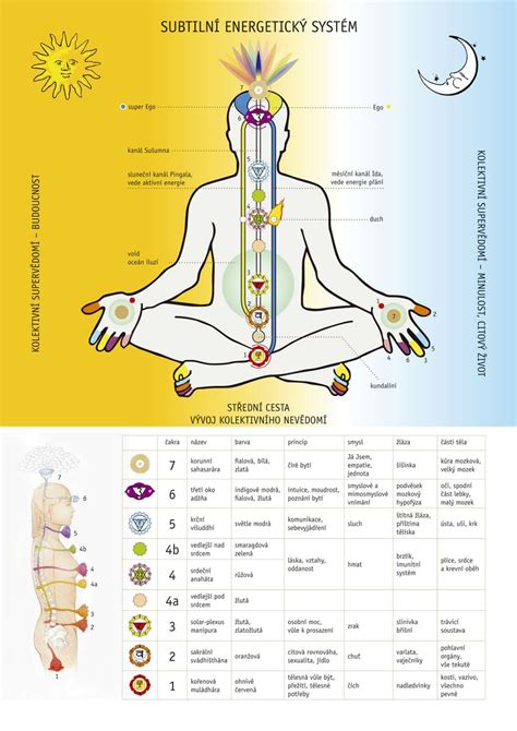 diagram zobrazujúci čakry, na ktoré citrín najviac pôsobí