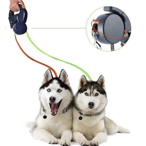 Ilustrácia dvoch psov hrajúcich sa