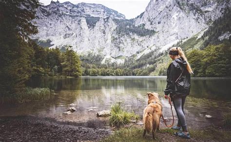 Ilustrácia turistov so psom v horách