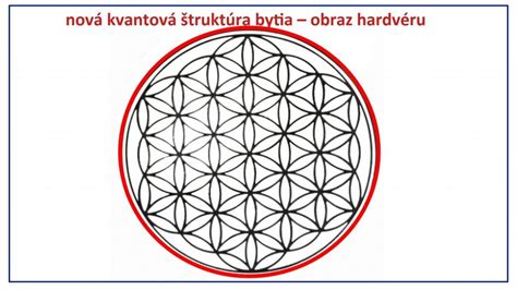 Geometrická štruktúra Kvetu života znázorňujúca prepojenosť vesmíru