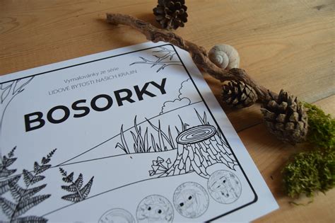 Ilustrácia bosorky s ropuchou