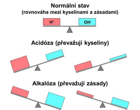 schéma vnútornej rovnováhy človeka: vyváženosť medzi etickou, mravnou a tvorivou zložkou