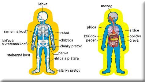 Metaforický obrázok myšlienok ovplyvňujúcich zdravie človeka