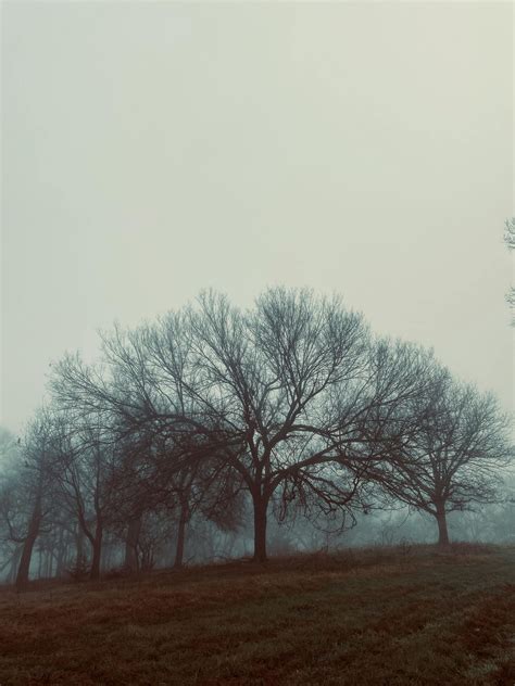 Symbolická ilustrácia cesty života