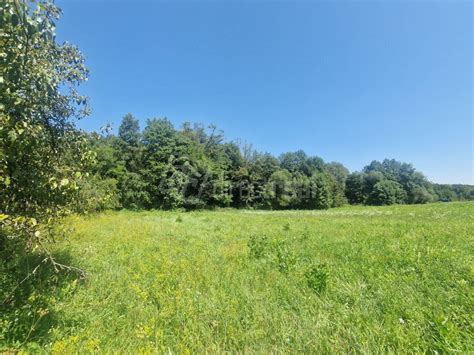 pokojná krajina s lesom a riekou pre regeneráciu síl