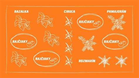 Schéma výsadby paradajok a starostlivosti o koreňovú sústavu