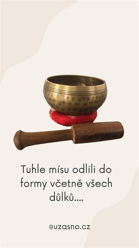 Budhistickí mnísi s tibetskou misou