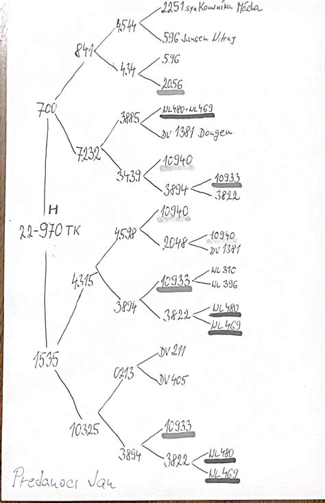Rodokmeň a jeho numerologické prepojenie