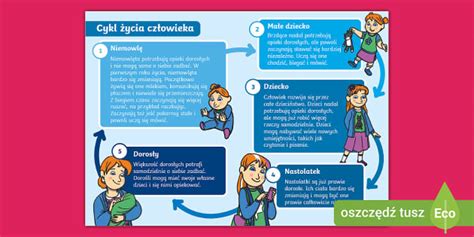 Infografika znázorňujúca kľúčové etapy kariéry Pavla Sibylu