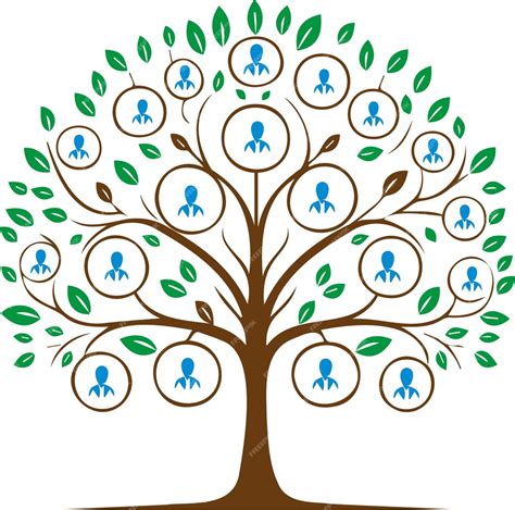 Zana Saluber's family tree or lineage graphic