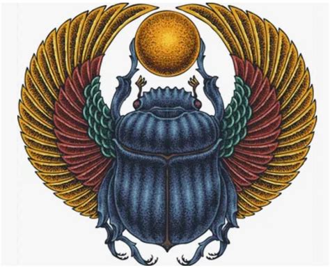 Ilustrácia skarabea