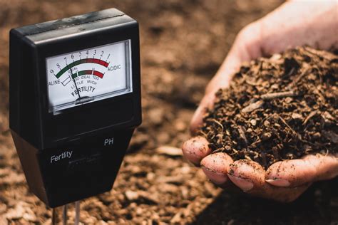 Príprava pôdy v marci