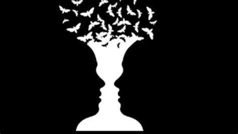 Dve tváre, jedna vyjadrujúca intelektuálne premýšľanie, druhá vášnivú emóciu