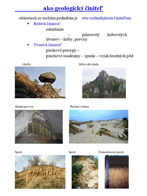 Ilustrácia princípov Feng Shui s prvkami ako voda, vietor, stromy a kamene.