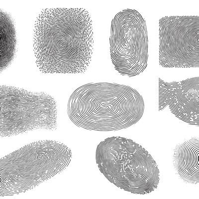 Diagram zobrazujúci tri hlavné typy odtlačkov prstov: oblúk, slučka a praslen
