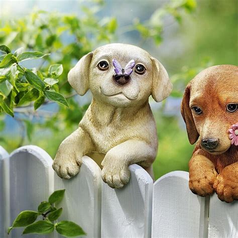 Pes skáče cez plot do záhrady