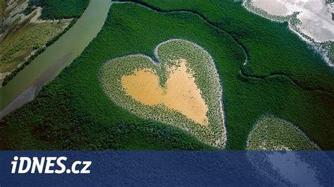 Zelené srdce obklopené svetlom