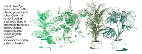 Ilustrácia rôznych druhov pantaklov