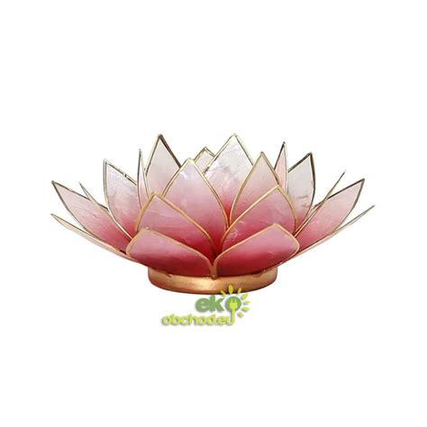 Lotosový kvet v jazierku