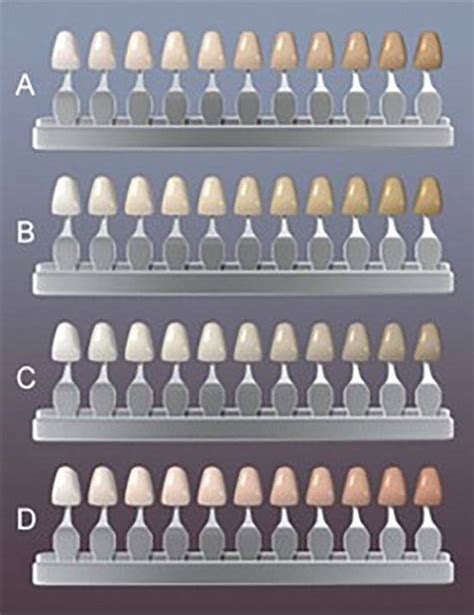 Rôzne farebné odtiene lotosových kvetov