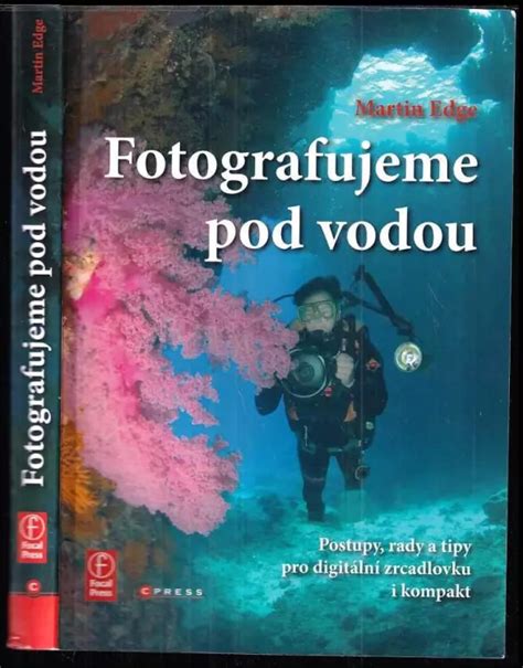Ilustrácia vodnára potočného pri love pod vodou