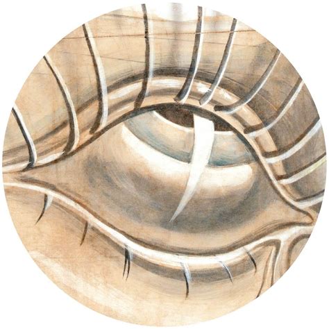 Muž a žena si pozerajú do očí v romantickom prostredí