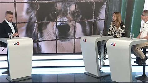 Infografika s postupom nahlasovania týrania zvierat