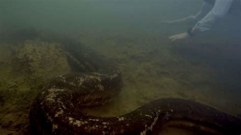 Démon Apop v podobe obrovského hada