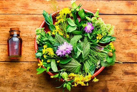 Obrázok zobrazujúci bylinky a prírodné produkty ako podporu zdravia