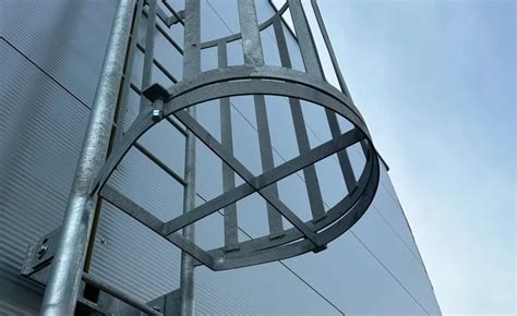 Rak s ochranným pancierom