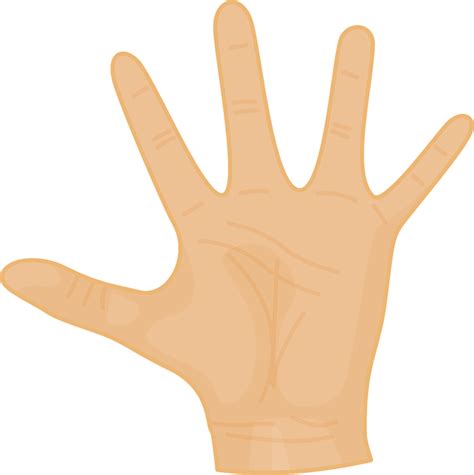 Ľudská dlaň s čiarami