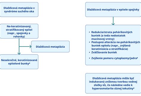 Diagram zobrazujúci rozdiel medzi bežným používateľom a botom pri spracovaní JavaScriptu