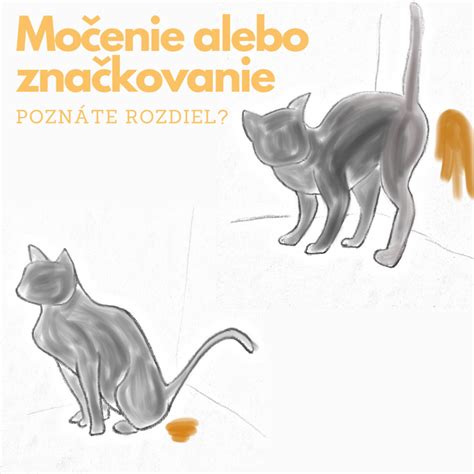 Mačka značkujúca močom