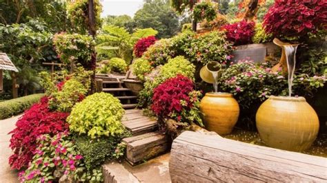 Harmonická záhrada podľa Feng Shui